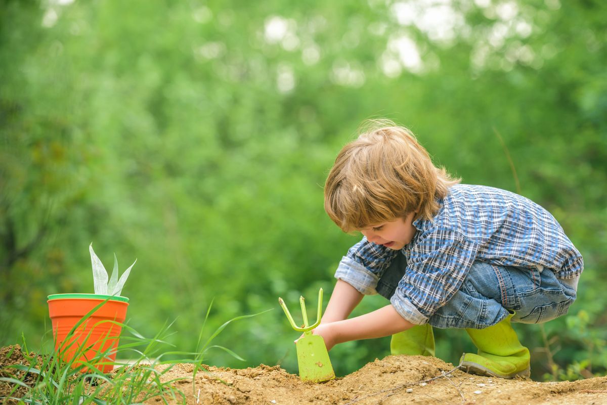 Child in the garden to plant vegetables