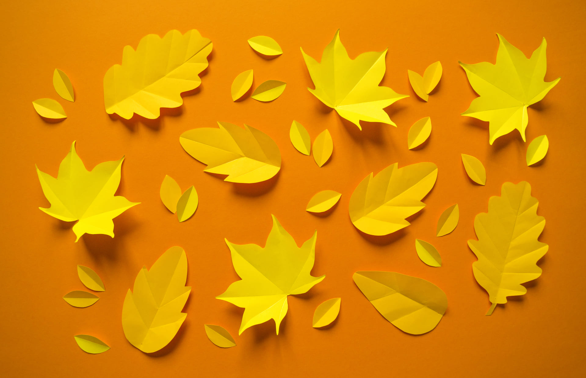 thanksgiving-arrangement-2-1319349-1279x962